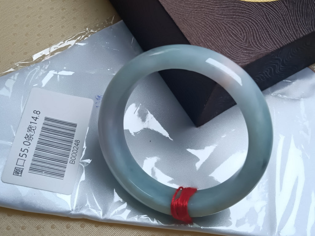 Watery Light Apple Green Burmese JGIA Certified Jadeite Bangle (Size:54 - 55mm) - Jadeite Ding